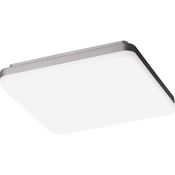 PERFORMANCE iN LIGHTING LED-Wand-u.Deckenleuchte 3000/4000K 3105560